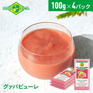 【公式】【送料無料】フルッタフルッタ 冷凍グァバピューレ 100g×4パック 冷凍 スムージー ジュース ア…