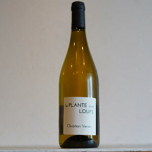 wEvgEI[E[ 2023 / NX`EjGx