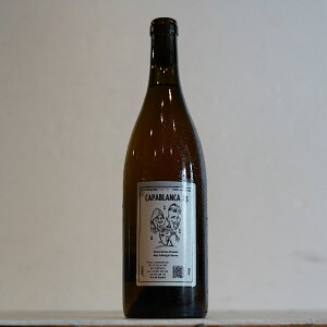 wAVAEJpuJ 2023 / _[x