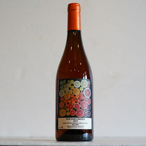 wLxETv[X 2023 / ~EZfXx