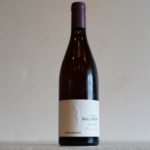 w}TlEN[ hE[ 2022 / h[kEox