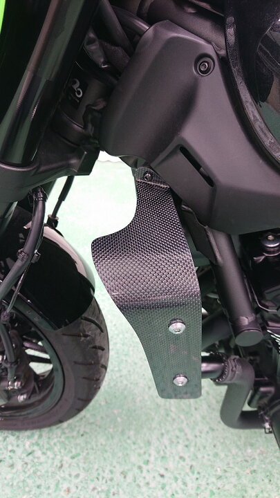 楽天市場】ストライカー Z900RS/CAFE ラジエターサイドシュラウド 