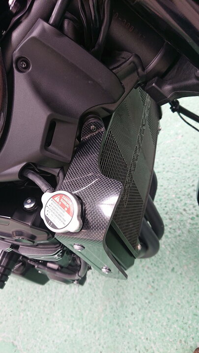楽天市場】ストライカー Z900RS/CAFE ラジエターサイドシュラウド 