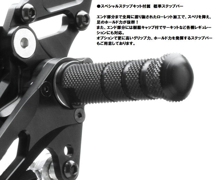 楽天市場】ストライカー バックステップ Ninja1000SX｜Ninja1000/ABS 
