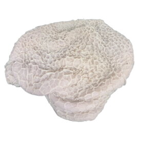 和牛白ハチノス ハニカム 国産和牛ホルモン WAGYU BEEF HONEYCOMB TRIPE TUWALYA NG BAKA トリッパ ホルモン煮込 イタリアン料理 韓国料理 1KG