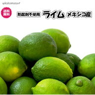 防腐剤不使用　メキシコ産　ライム 　常温　1K約8〜11個程度　　ポストハーベスト農薬不使用　メキシコ　…