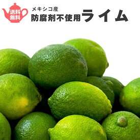 防腐剤不使用 メキシコ産　ライム クール便 1K約8〜11個程度　　ポストハーベスト農薬不使用　メキシコ　送料無料 青果　生 ノンケミ 防ばい剤 防カビ剤 不使用 カクテル モヒート　冷蔵　皮まで安心※沖縄・離島は配送不可