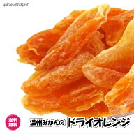温州みかんのドライオレンジ ドライフルーツ 半生タイプ 送料無料 房ごとドライ ミカン 蜜柑 ドライみか…