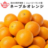 防腐剤不使用 ネーブルオレンジ ニュージーランド産 常温 1kg 3kg 5kg 1kgあたり目安5～6玉 ポストハーベ…