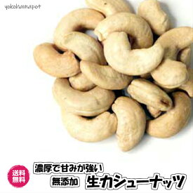 酵素が生きてる 生無塩カシューナッツ 生ナッツ ナッツ 送料無料 木の実 nuts カシューナッツ カシュー ローフード おつまみ お試しパック