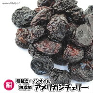 無添加アメリカンチェリー ドライフルーツ 種抜き アメリカ産　砂糖不使用 食品添加物不使用 送料無料 自…
