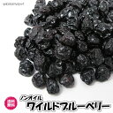 ノンオイル　ブルーベリー　アメリカ産 野生種 ドライフルーツ 送料無料 お試し商品 ワイルドブルーベリー チャック袋…