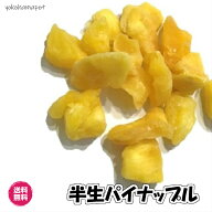 ドライパイナップル フィリピン産 半生タイプ ひとくちサイズ 送料無料 ドライフルーツ パインアップル …