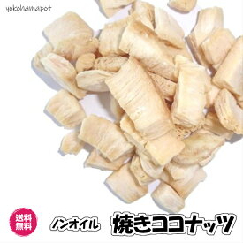 焼きココナッツ 塩味 マレーシア産 ドライフルーツ 送料無料 ココナッツ ココナッツチップ おつまみ おやつ チャンク ココナッツ coconut チャック袋 お試しパック