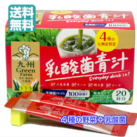 九州産　乳酸菌青汁 40杯分 1箱3g×20杯分/箱青汁 国産 健康補助食品 送料無料 国産 4種の野菜 ケール 大麦若葉 明日葉 ゴーヤ 粉末　乳酸菌