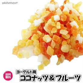 ヨーグルト専用 ココナッツ＆フルーツ ヨーグルト用　 ドライフルーツ 5種の味 送料無料 ダイスカット 5mm チャック袋 ココナッツ パパイヤ マンゴー パイン メロン