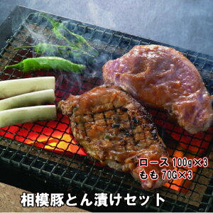 u̐Xv͓؂ƂЂ2Zbg [X100g×3{70g×3 _ސ쌧Y ϔ Ⓚ  Y  Mtg v[g  Ε hV̓ ̓ ̓ a j