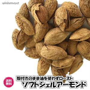 ktA[h [Xg  ibc  TCY@A[h kt \tgVFA[h AJ US A[h ܂ nuts almond 