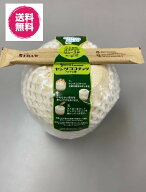 送料無料 ヤングココナッツ ココヤシ ヤシの実 ココナッツ 美味しい ココナツ ベトナム産 フルーツ 果物 …