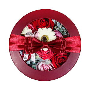 oXtOX@AeB[N Eh{bNX obN Ԃ̌`̓ oXt[ t[Mtg ̓ ̓ v[g