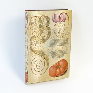 ~E{^jJ Flexis Sg}g paperblanks ~jTCY \tgJo[  m[g L VsubN 玙L ƌv [  GL rWlX ׋ GfBOm[g ̓ 