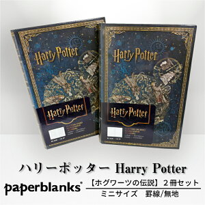 y~j r/n 2ZbgzPaperblanks y[p[uNX Harry Potter n[|b^[ zO[c̓` m[g