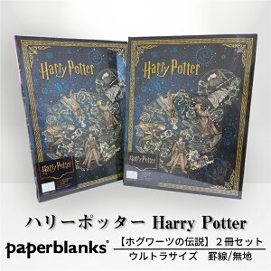 yEg r/n 2ZbgzPaperblanks y[p[uNX Harry Potter n[|b^[ zO[c̓` m[g