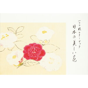 {̔ 100^[ubN ̓ ̓ v[g