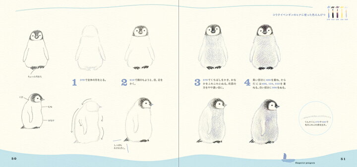 楽天市場 色えんぴつでかわいい水の生き物 色鉛筆 書き方 イラスト テキスト 簡単 かわいい 練習 秋草 愛 特急名入れギフト Sympl