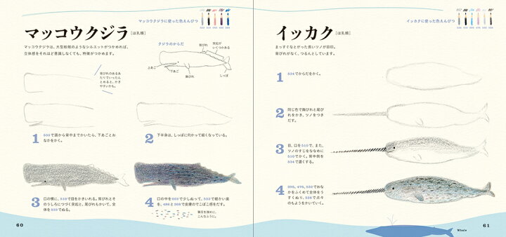 楽天市場 色えんぴつでかわいい水の生き物 色鉛筆 書き方 イラスト テキスト 簡単 かわいい 練習 秋草 愛 特急名入れギフト Sympl