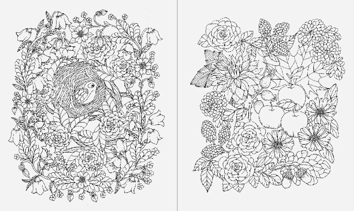 楽天市場】野の花のぬり絵ブック 大人の塗り絵 ぬりえ 色鉛筆 マリア 