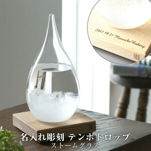 e|hbv Tempo Drop Xg[OX 100percent@ ꖳ Ɏq ^ CeA VC\ IuWF   k  j  v[g 蕨 G KX fUC a