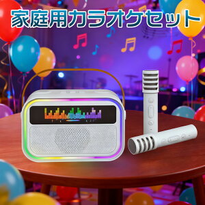 Xs[J[ }CN 2{t JIPZbg Bluetooth ~j JIP ƒp }CNXs[J[ CX }CN karaoke }CN LEDXs[J[   K lJIP fGbg ƒJ