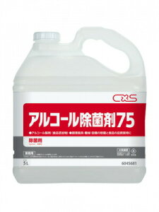 CxSiV[oCGXj AR[ۍ75 5LX2