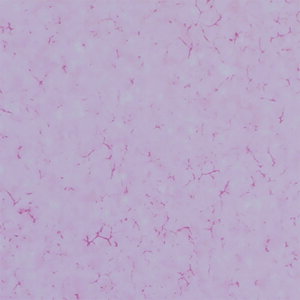 YƁ@uȒPV[g (P) 925×1225@ |ȒP fR[V  \ȂV[g DIYAaAg