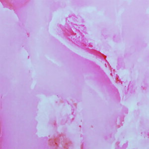 ���Y�Ɓ@�l�I�f�b�N�X �嗝��(P) 925×1225