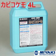 ミヤキ カビコケモ 4L 1個【法人限定】