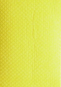 Y zX|WNX2@CG[@z̓ocOI@Ԃ̐@グ@KX