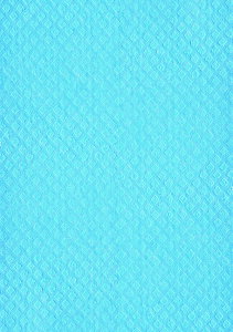 Y zX|WNX2@u[@z̓ocOI@Ԃ̐@グ@KX