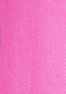 Y zX|WNX2@sN@z̓ocOI@Ԃ̐@グ@KX