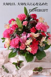 AWg@j@@Ej@@@t[@AWg@͂ȁ@v[g@5500~aE̓EԃMtgEԁ@jEJXEƁEwEo^C