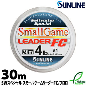 X[Q[[_[FC 30m 3lb.`6lb.yTCzybNtBbVEAWE[_[EtJ[{Czy\gEH[^[XyVz