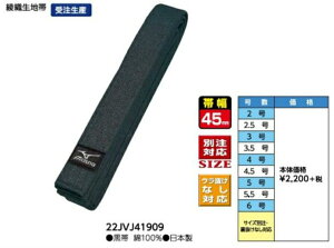 ~Ymu_сAсiDnсj 22JVJ41909 vIJFF}[Ni󒍐Yj