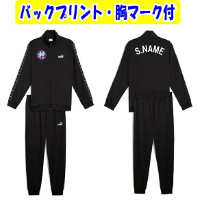 2ȏ̉iE1t\⁃`[}[NHAltv[}PUMAg[jOEGA[EW[W㉺u|e[vX[cv687666