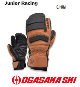 IKTJOGASAKAi€v+vj[VOWjAXL[܁uGJ/RMv