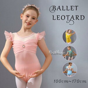 oG I^[h qpWjA t LbYlfB[X XJ[gȂ bX oGpi K \ _X _Xߑ ̑ VGbg  V̑ oGEF