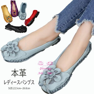 {v pvX fB[X tbgV[YwlC ؂ U[vCXb| }}V[Y Xj[J[ [Jbg ʋC JWA ԕt EH[LOV[Y NbV _