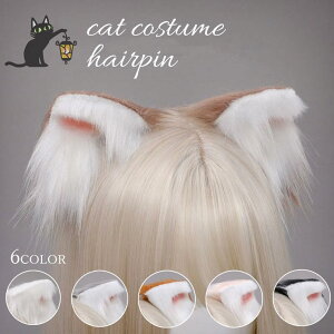 nEBRXv  L lR ώ T wAs  ANZT[  Lcl ~~ ӂ RXv nEBp[eB[ Cxg  G RXv {