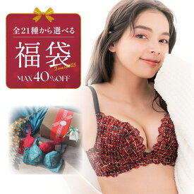 年に1度の選べる福袋 ＼最大40％OFF／ 自分で作る 福袋 無料ラッピング3点で9,900円 クリスマスチケット下着 レディース 2026 ブラジャー ブラ 大きいサイズ 小胸 育乳ブラ ナイトブラ ノンワイヤー 補正下着 脇高 インナー ブラ＆ショーツ ガードル 補正下着グラモア