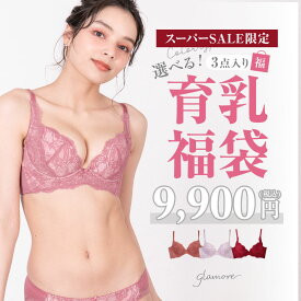 【楽天スーパーSALE限定!!】最大37％OFF 選べる福袋 グラモアブラ×パフュームブラ×キスするブラ 育乳 福袋 3枚入り 下着 レディース セット 福袋 大きいサイズ ブラジャー グラモアブラ 下着 レディース グラモア ブラジャー 小胸 補正ブラ FT1045【交換可・返品不可】